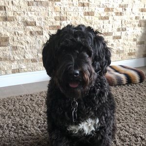 Meet your Posher, Maureen